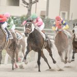 競馬予想サイトを利用する前に